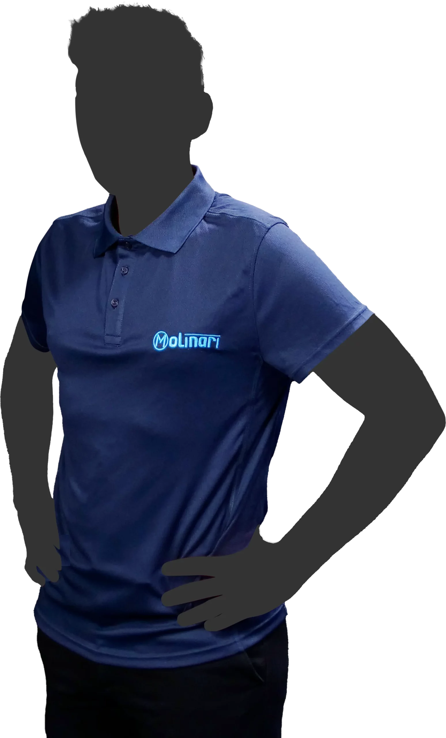 Polo shirt Molinari